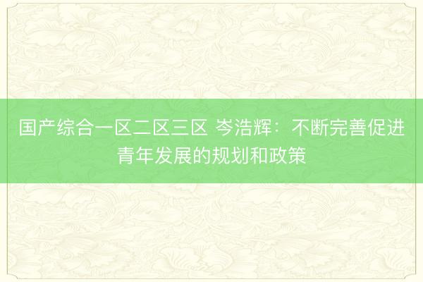 国产综合一区二区三区 岑浩辉：不断完善促进青年发展的规划和政策