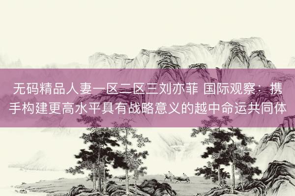 无码精品人妻一区二区三刘亦菲 国际观察：携手构建更高水平具有战略意义的越中命运共同体