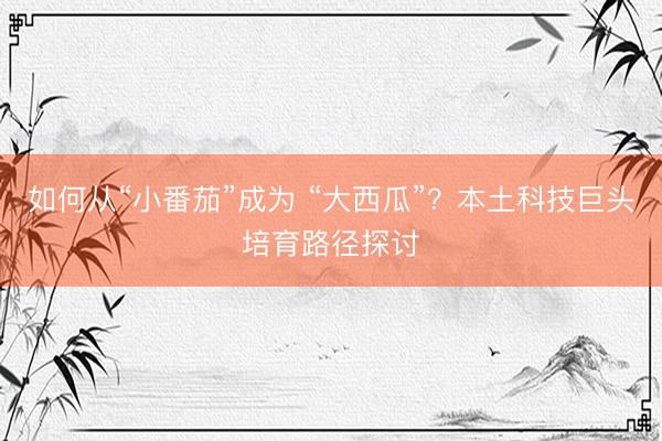 如何从“小番茄”成为 “大西瓜”？本土科技巨头培育路径探讨