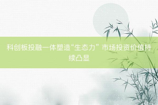科创板投融一体塑造“生态力” 市场投资价值持续凸显