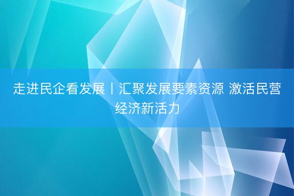 走进民企看发展丨汇聚发展要素资源 激活民营经济新活力