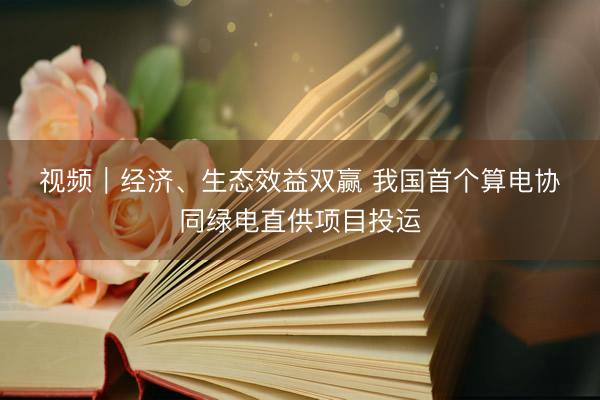 视频｜经济、生态效益双赢 我国首个算电协同绿电直供项目投运