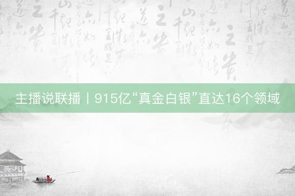 主播说联播丨915亿“真金白银”直达16个领域
