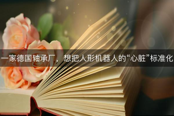 一家德国轴承厂，想把人形机器人的“心脏”标准化