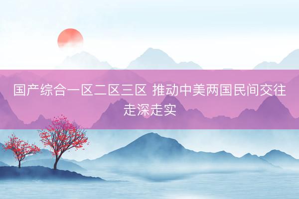 国产综合一区二区三区 推动中美两国民间交往走深走实