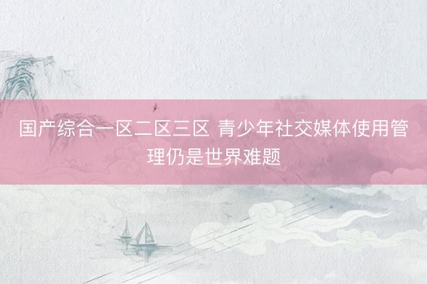 国产综合一区二区三区 青少年社交媒体使用管理仍是世界难题