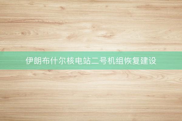 伊朗布什尔核电站二号机组恢复建设
