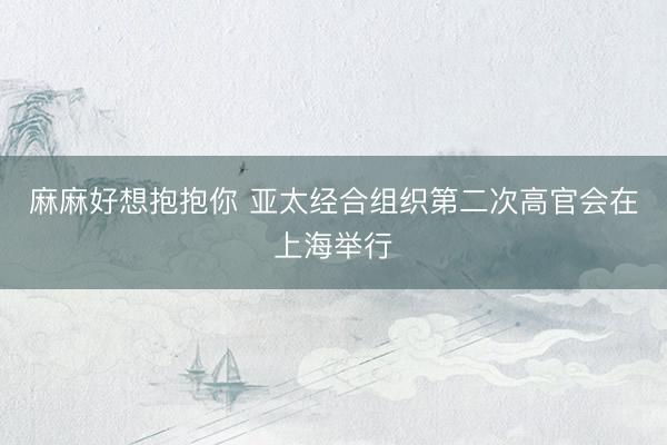 麻麻好想抱抱你 亚太经合组织第二次高官会在上海举行