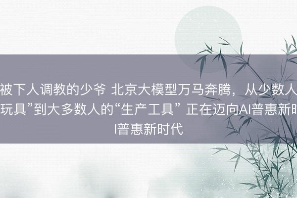 被下人调教的少爷 北京大模型万马奔腾，从少数人的“玩具”到大多数人的“生产工具” 正在迈向AI普惠新时代