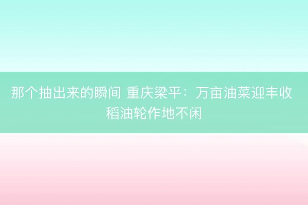 那个抽出来的瞬间 重庆梁平：万亩油菜迎丰收 稻油轮作地不闲