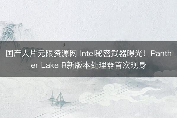 国产大片无限资源网 Intel秘密武器曝光！Panther Lake R新版本处理器首次现身