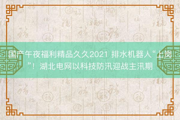 国产午夜福利精品久久2021 排水机器人“上岗”！湖北电网以科技防汛迎战主汛期
