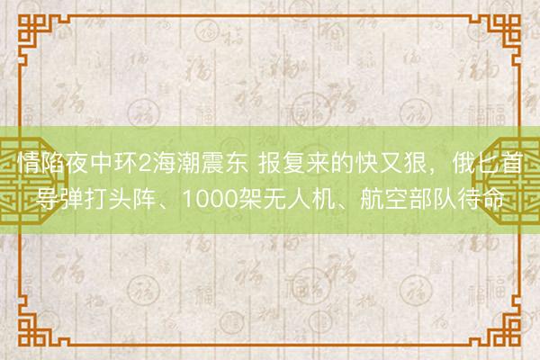 情陷夜中环2海潮震东 报复来的快又狠,俄匕首导弹打头阵、1000架无人机、航空部队待命