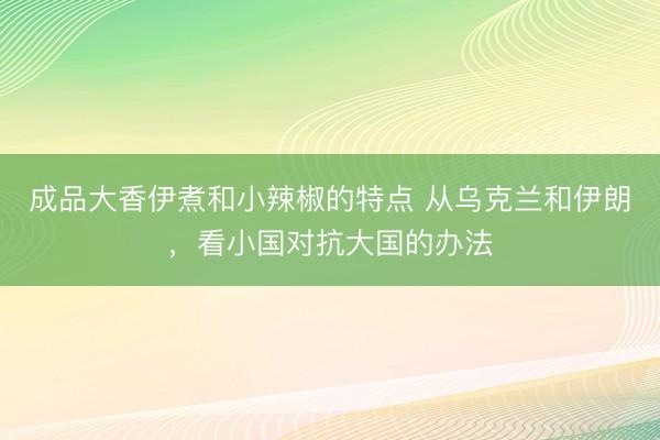 成品大香伊煮和小辣椒的特点 从乌克兰和伊朗，看小国对抗大国的办法