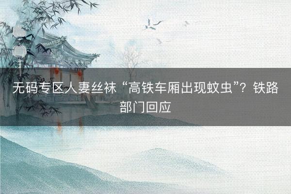 无码专区人妻丝袜 “高铁车厢出现蚊虫”？铁路部门回应