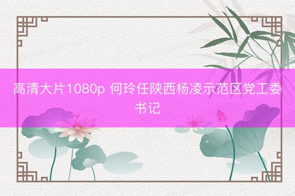 高清大片1080p 何玲任陕西杨凌示范区党工委书记