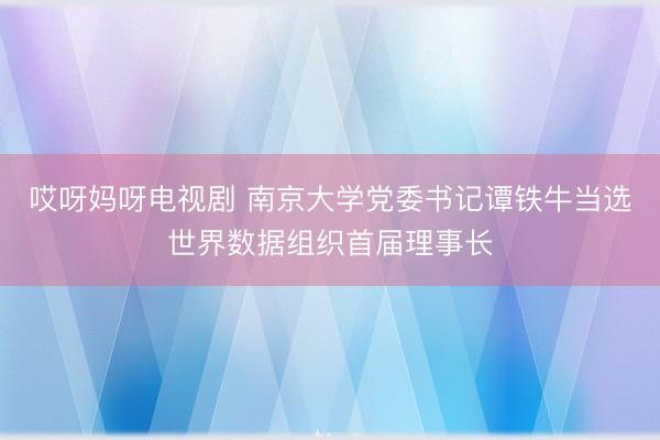哎呀妈呀电视剧 南京大学党委书记谭铁牛当选世界数据组织首届理事长