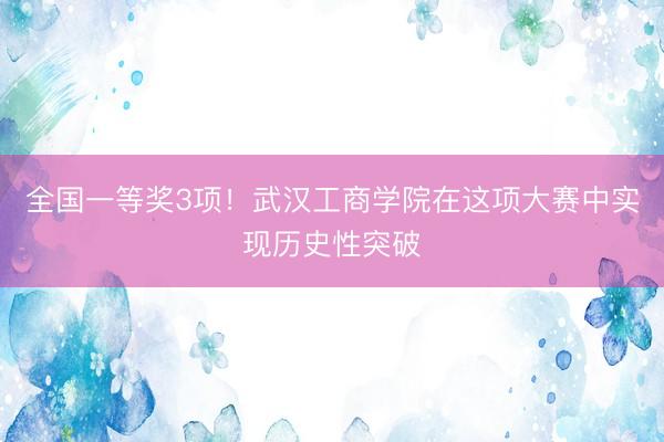 全国一等奖3项！武汉工商学院在这项大赛中实现历史性突破