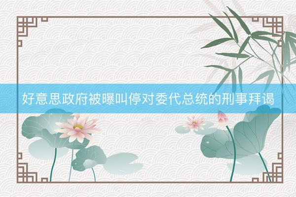 好意思政府被曝叫停对委代总统的刑事拜谒