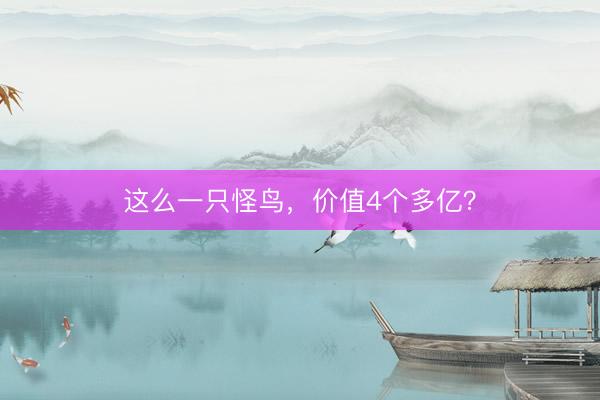 这么一只怪鸟，价值4个多亿？