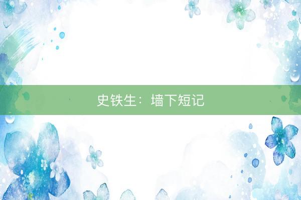 史铁生:墙下短记