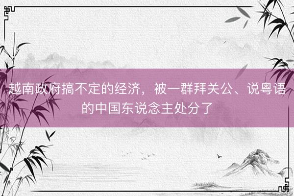 越南政府搞不定的经济，被一群拜关公、说粤语的中国东说念主处分了