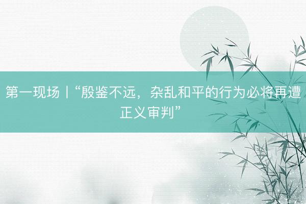 第一现场丨“殷鉴不远，杂乱和平的行为必将再遭正义审判” 