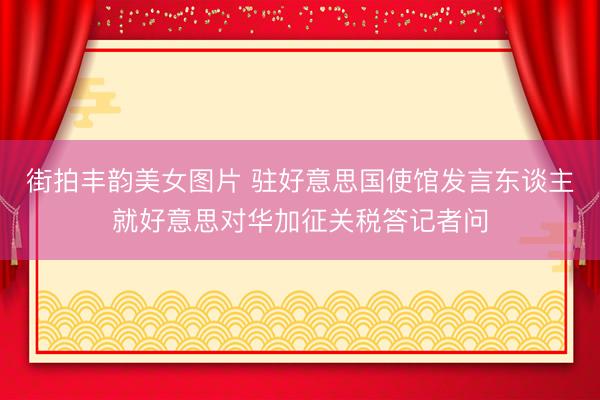 街拍丰韵美女图片 驻好意思国使馆发言东谈主就好意思对华加征关税答记者问