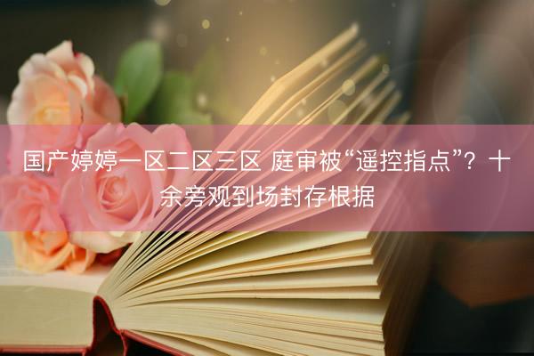 国产婷婷一区二区三区 庭审被“遥控指点”？十余旁观到场封存根据