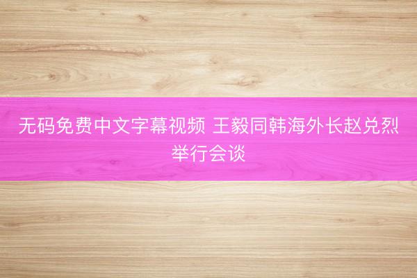 无码免费中文字幕视频 王毅同韩海外长赵兑烈举行会谈