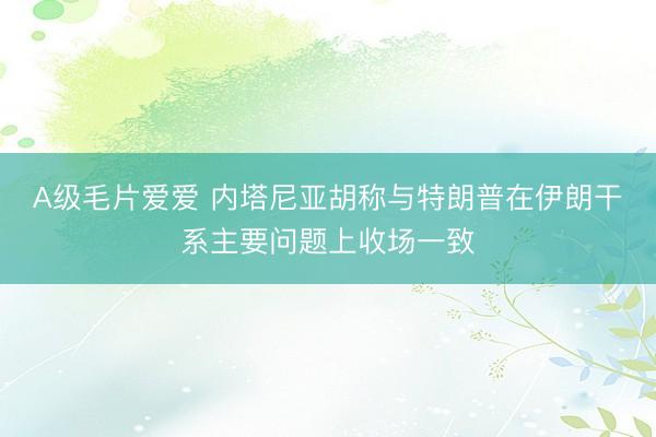 A级毛片爱爱 内塔尼亚胡称与特朗普在伊朗干系主要问题上收场一致