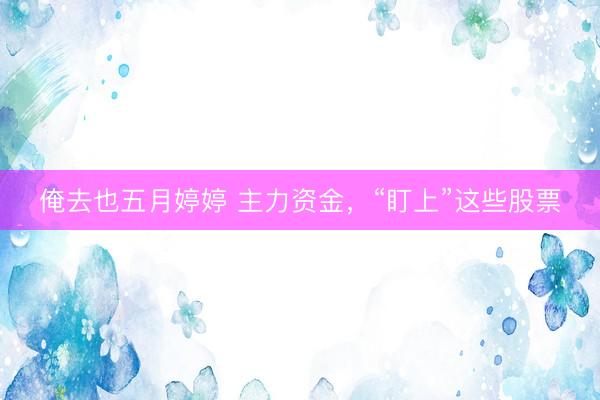 俺去也五月婷婷 主力资金，“盯上”这些股票