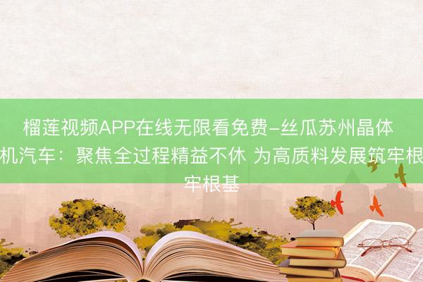 榴莲视频APP在线无限看免费-丝瓜苏州晶体 国机汽车：聚焦全过程精益不休 为高质料发展筑牢根基