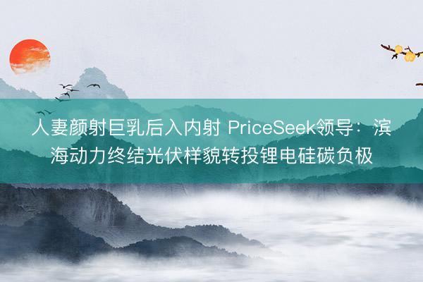人妻颜射巨乳后入内射 PriceSeek领导：滨海动力终结光伏样貌转投锂电硅碳负极