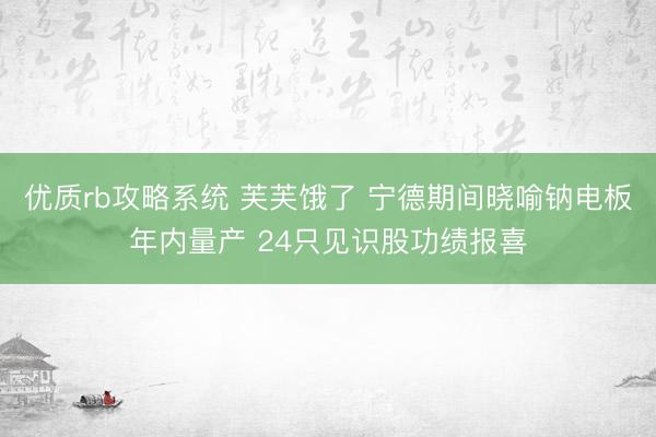 优质rb攻略系统 芙芙饿了 宁德期间晓喻钠电板年内量产 24只见识股功绩报喜