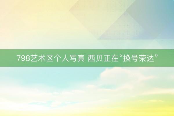 798艺术区个人写真 西贝正在“换号荣达”