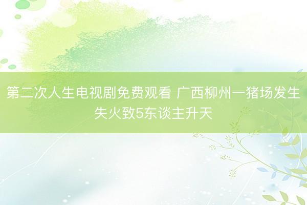 第二次人生电视剧免费观看 广西柳州一猪场发生失火致5东谈主升天