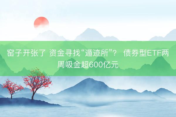 窑子开张了 资金寻找“遁迹所”？ 债券型ETF两周吸金超600亿元