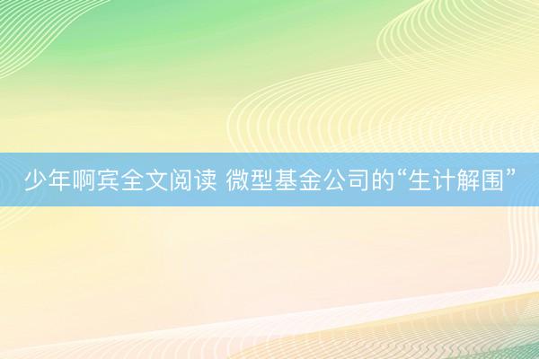 少年啊宾全文阅读 微型基金公司的“生计解围”