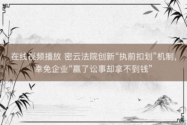 在线视频播放 密云法院创新“执前扣划”机制，幸免企业“赢了讼事却拿不到钱”