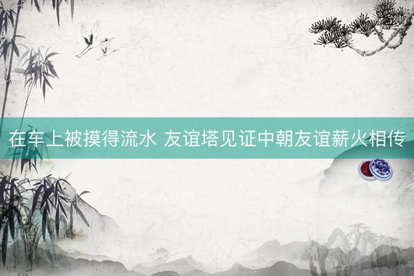 在车上被摸得流水 友谊塔见证中朝友谊薪火相传