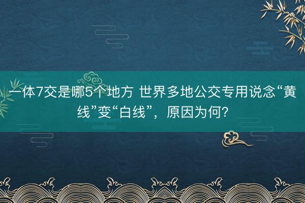 一体7交是哪5个地方 世界多地公交专用说念“黄线”变“白线”,原因为何?
