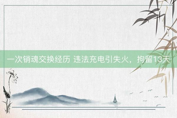 一次销魂交换经历 违法充电引失火，拘留13天