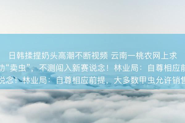 日韩揉捏奶头高潮不断视频 云南一桃农网上求援治虫，却被网友反劝“卖虫”，不测闯入新赛说念！林业局：自尊相应前提，大多数甲虫允许销售