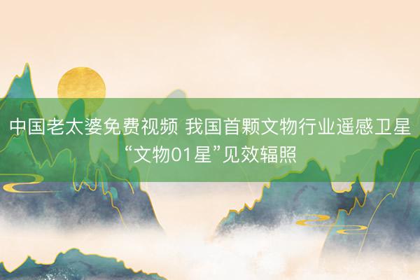 中国老太婆免费视频 我国首颗文物行业遥感卫星“文物01星”见效辐照