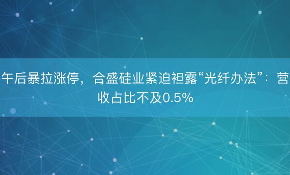 午后暴拉涨停，合盛硅业紧迫袒露“光纤办法”：营收占比不及0.5%