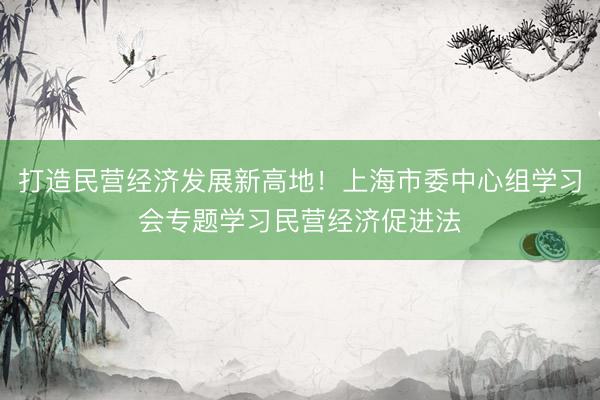 打造民营经济发展新高地！上海市委中心组学习会专题学习民营经济促进法