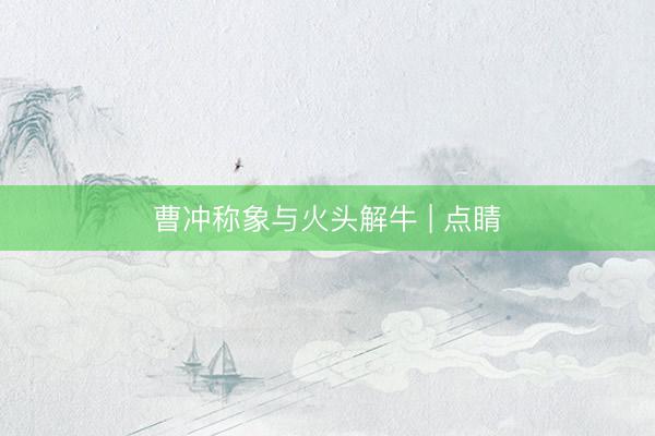 曹冲称象与火头解牛 | 点睛