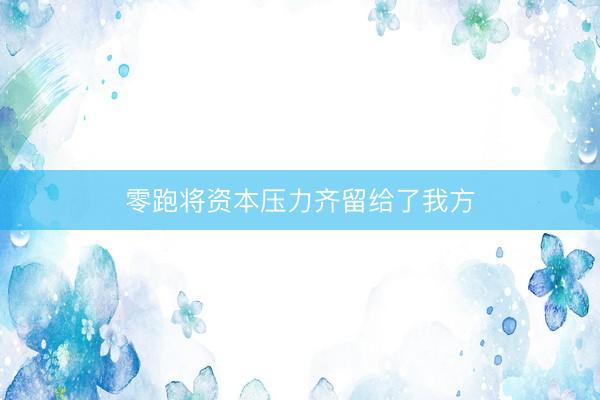 零跑将资本压力齐留给了我方