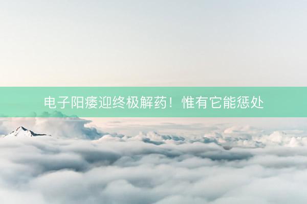 电子阳痿迎终极解药！惟有它能惩处